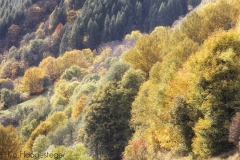 Alpen, herfst 2017