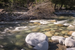 Corsica