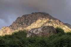 Corsica