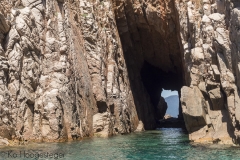 Corsica