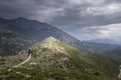 Corsica