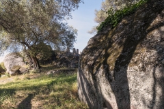 Corsica