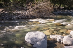 Corsica