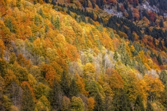 Deutsche Alpenstrasse