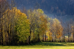 Deutsche Alpenstrasse