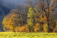 Deutsche Alpenstrasse
