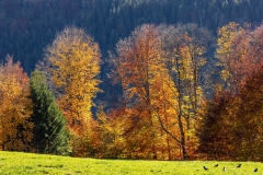 Deutsche Alpenstrasse