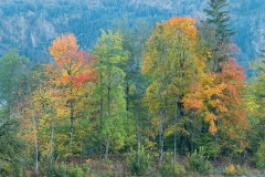 Deutsche Alpenstrasse