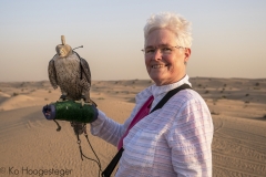 Verenigde Aarabische Emiraten, Dubai, Desert Safari