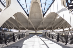 Station Lyon-Saint-Exupéry TGV