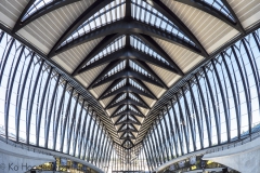 Station Lyon-Saint-Exupéry TGV