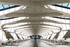 Station Lyon-Saint-Exupéry TGV