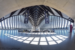 Station Lyon-Saint-Exupéry TGV