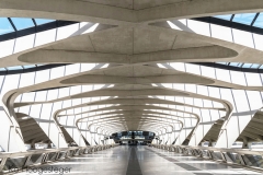 Station Lyon-Saint-Exupéry TGV