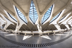 Station Lyon-Saint-Exupéry TGV