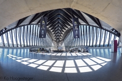 Station Lyon-Saint-Exupéry TGV