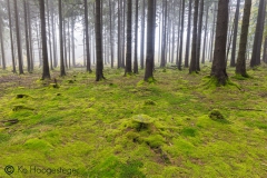 Duitsland Hunsrücke