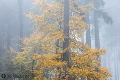 Duitsland Hunsrücke