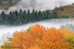 Duitsland Hunsrücke