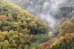 Duitsland Hunsrücke