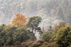 Duitsland Hunsrücke