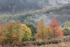 Duitsland Hunsrücke