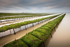 Frankrijk, Normandië, Manche