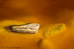 Spanje Rio Tinto