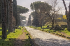 Rome (17)