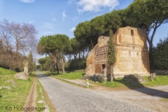 Rome (18)