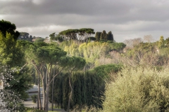 Rome (35)