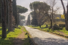 Rome (17)