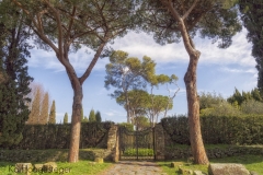 Rome (21)