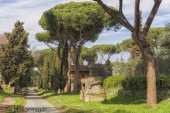 Rome (23)