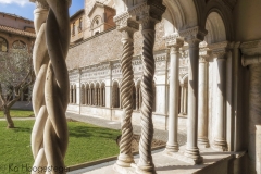 Rome (50)