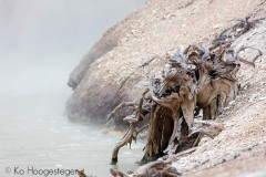 amerika-wyoming-yellowstone