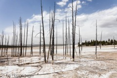amerika-wyoming-yellowstone