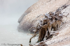amerika-wyoming-yellowstone