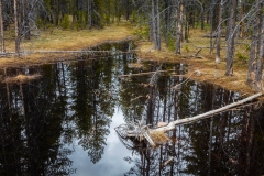 amerika-wyoming-yellowstone