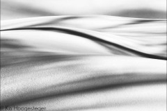 Abstracten