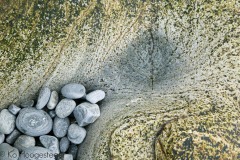 Abstracten