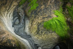 Abstracten
