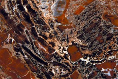 Abstracten