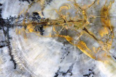 Abstracten