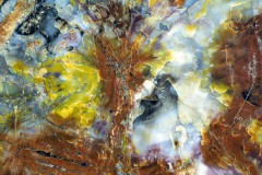 Abstracten