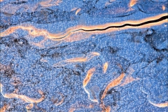 Abstracten