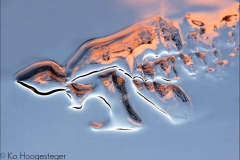 Abstracten