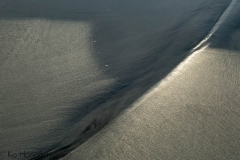 Abstracten