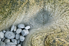 Abstracten