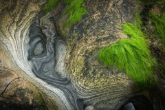 Abstracten
